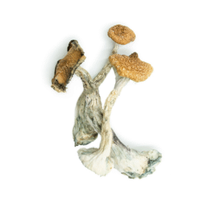 Blue Meanie dried - 1.0 oz